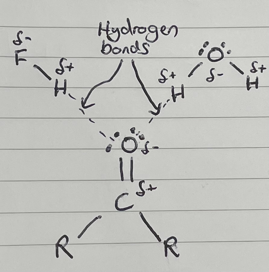 <p>Kind of, it can have the lone pairs on the oxygen attracted to a hydrogen atom, but does not have a hydrogen atom to attract another O, N or F</p>