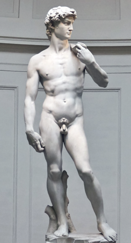 Michelangelo, David