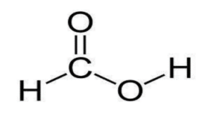 <p>CH2O2, HCOOH</p>
