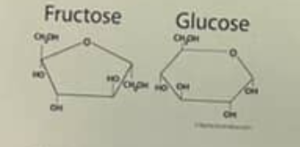 <p>the figure above shows the structure of glucose and fructose. those two molecules differ in the </p>