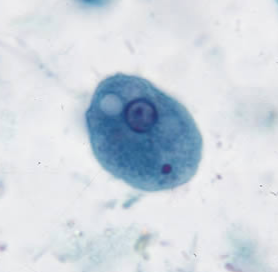 <p>Professor: Dr. Glena Fe A. Yapchulay-Alcabasa</p>