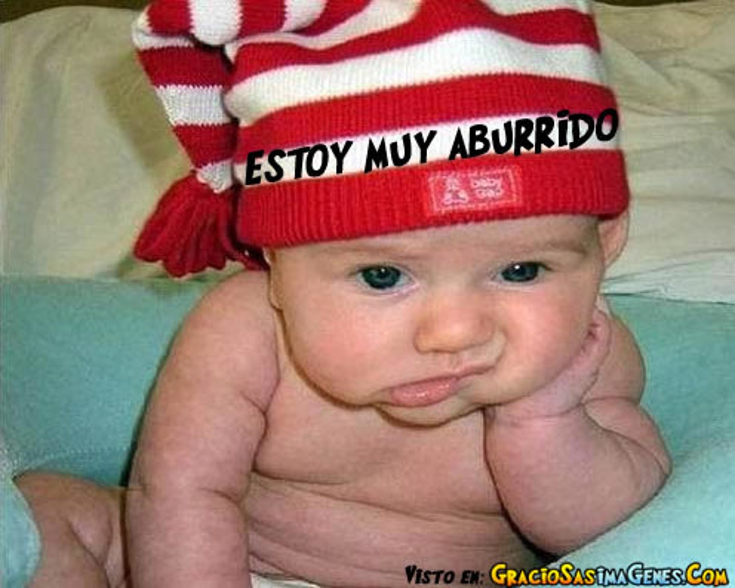 <p>se aburrió muchisimo</p>