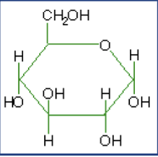 <p>What macromolecule is this?</p>