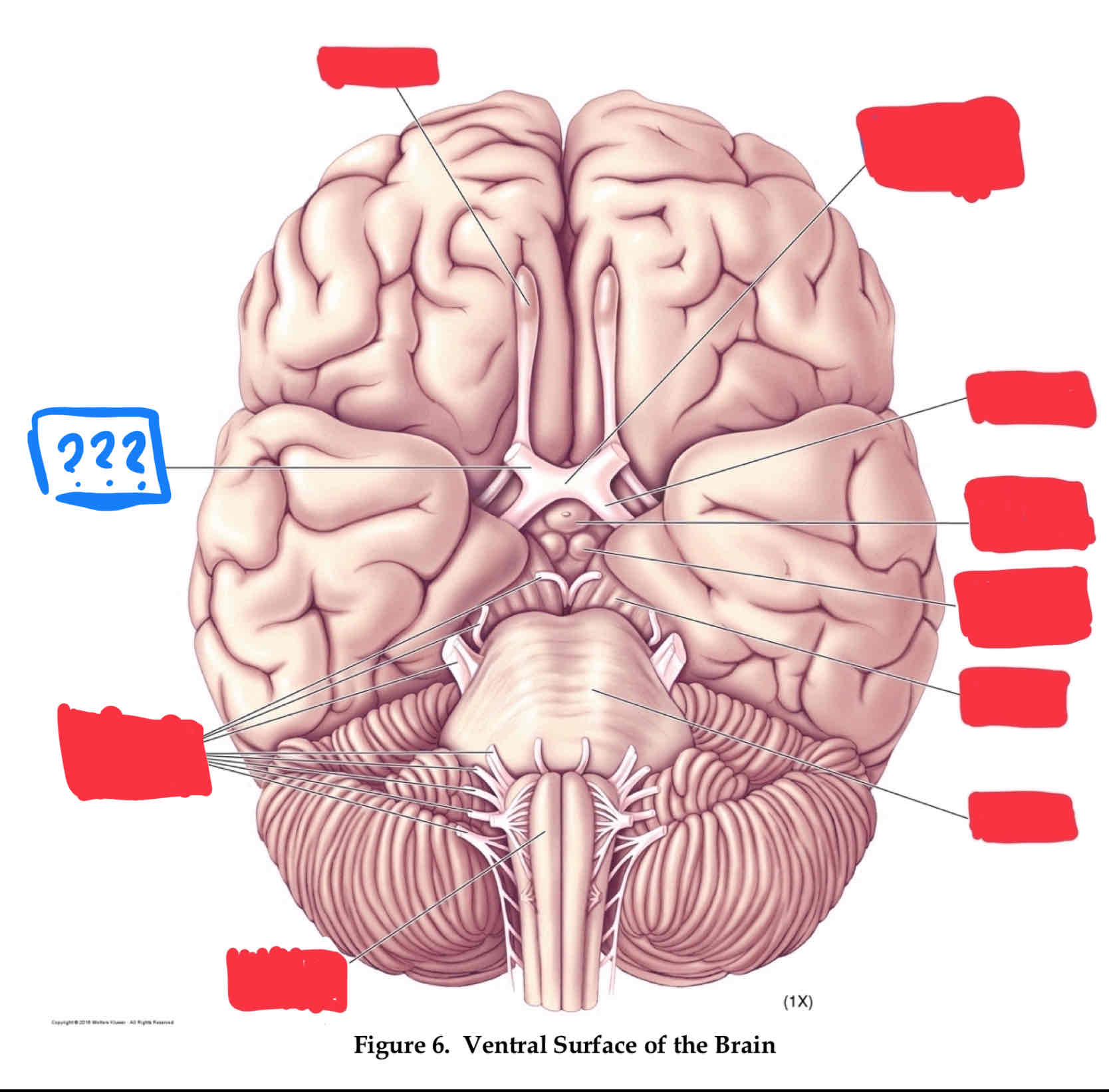 <p>vision</p>