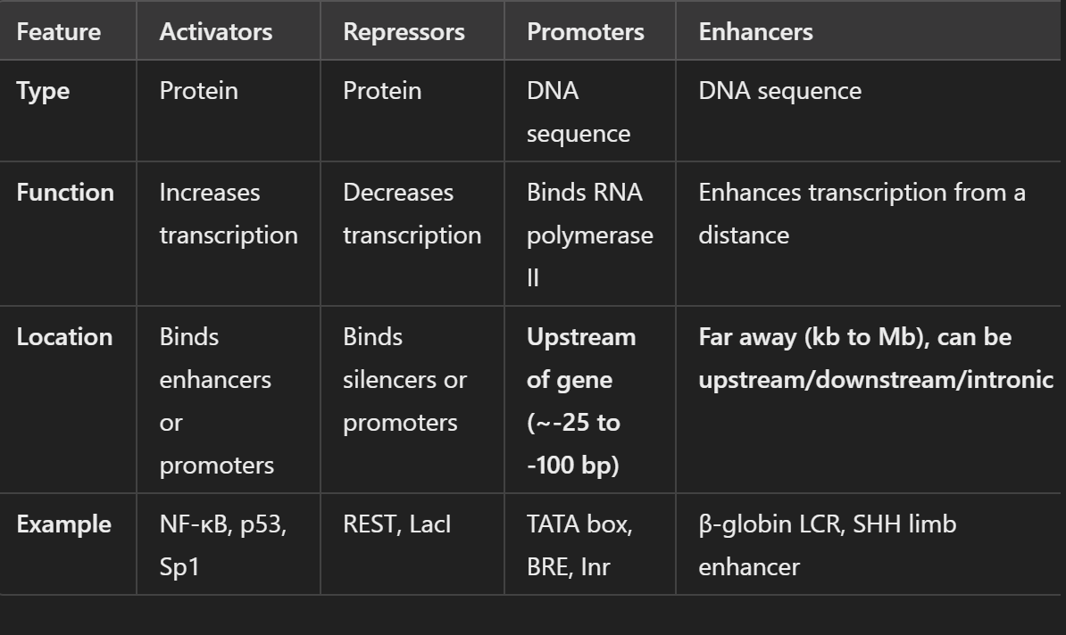 <p>Describe the difference between enhancers, repressors, promoters, and activators</p>