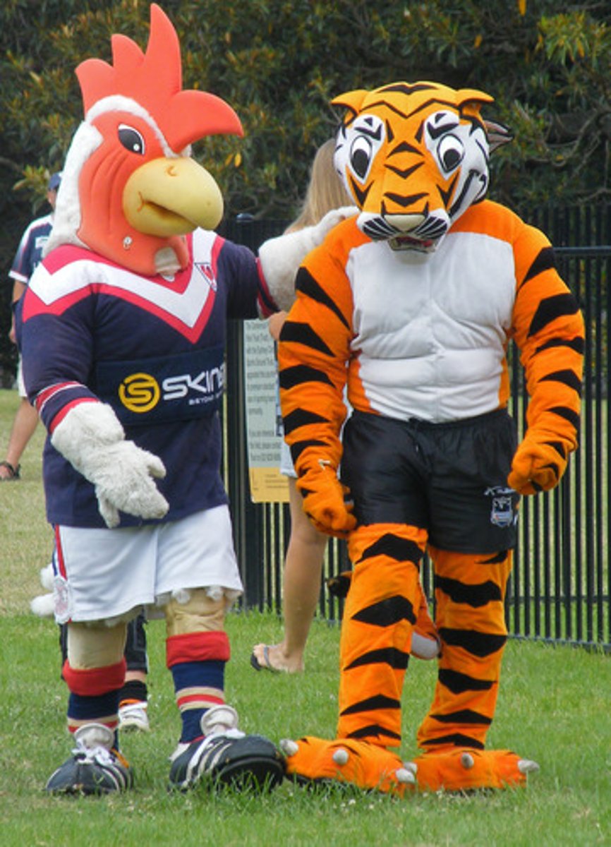 <p><em>n</em>(good-luck charm)<strong>mascota</strong></p><ul><li><p>Bobby dressed up as the school mascot during basketball games.</p></li></ul><p></p>