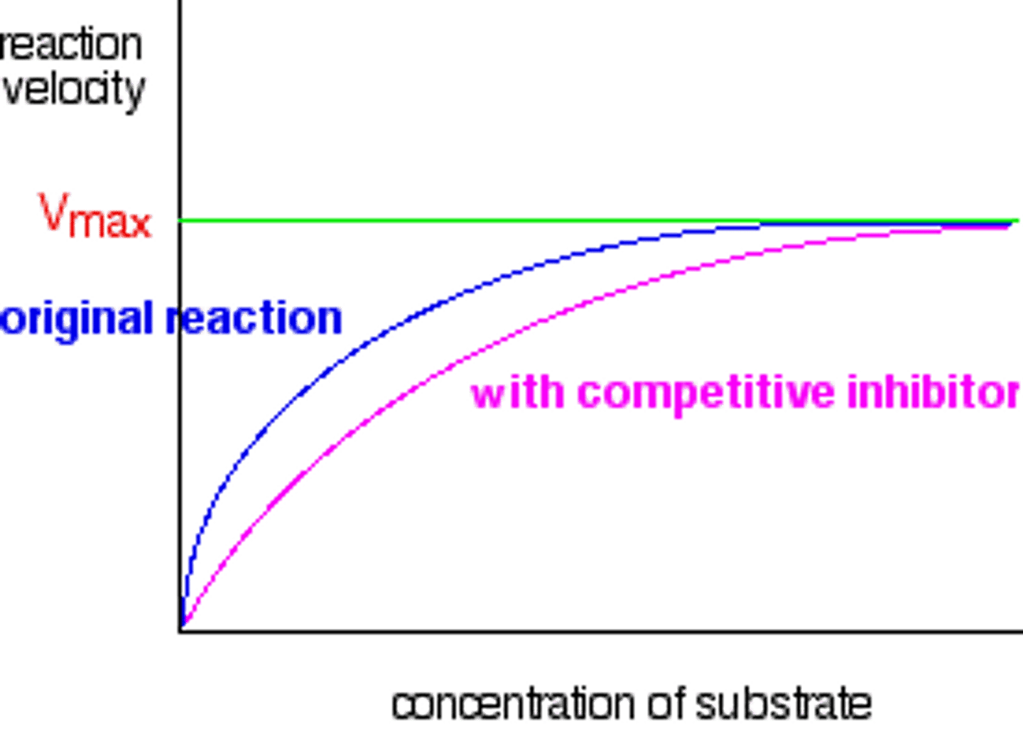 <p>(A) Competitive</p><p>Competitive inhibitor does not change the Vmax value because if enough substrates are added, it will outcompete the inhibitor and be able to run the reaction at maximum velocity.</p>