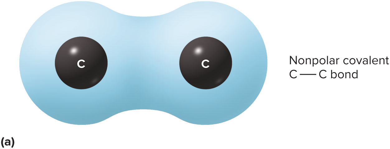 <p>electrons spend equal time around each nucleus</p>