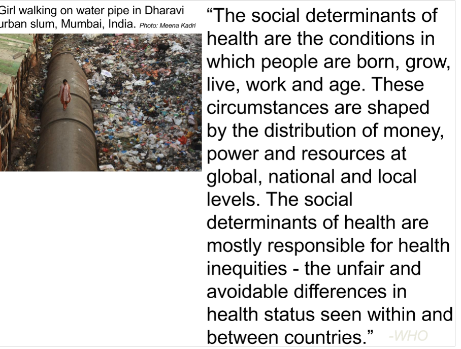 <p>many variables affect our dietary intake </p><p>income, environment, education, gender, race, culture, employment, etc. </p>