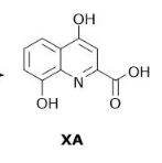 <p>What is the number of hydrogen bond donors in XA?</p><p><strong>A</strong></p><p>3</p><p><strong>B</strong></p><p>4</p><p><strong>C</strong></p><p>5</p><p><strong>D</strong></p><p>6</p>