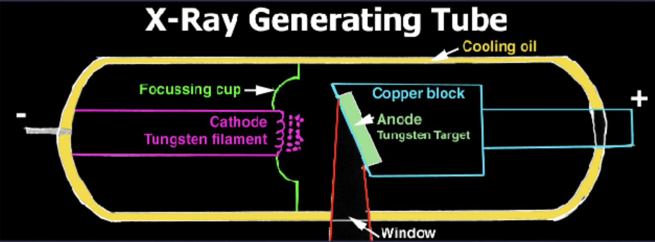 <ol><li><p>electron source (cathode)</p></li><li><p>concentration of electrons (focussing cup)</p></li><li><p>mechanism to accelerate electrons (potential difference or tube voltage kVp)</p></li><li><p>suitable target to stop electrons (anode)</p></li></ol><p></p>