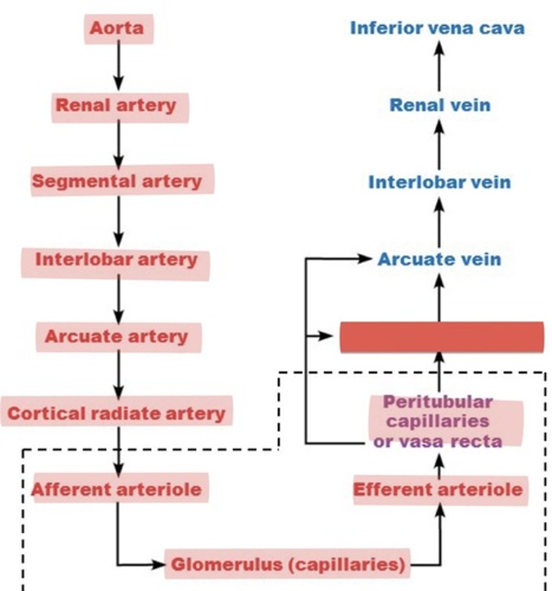 <p>What is this?</p>