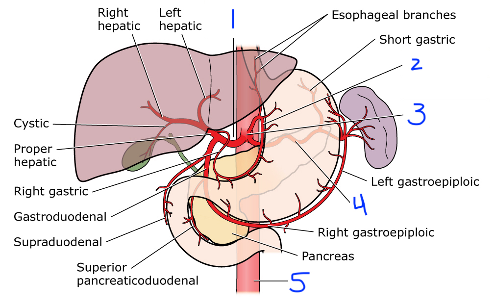 <p>3</p>