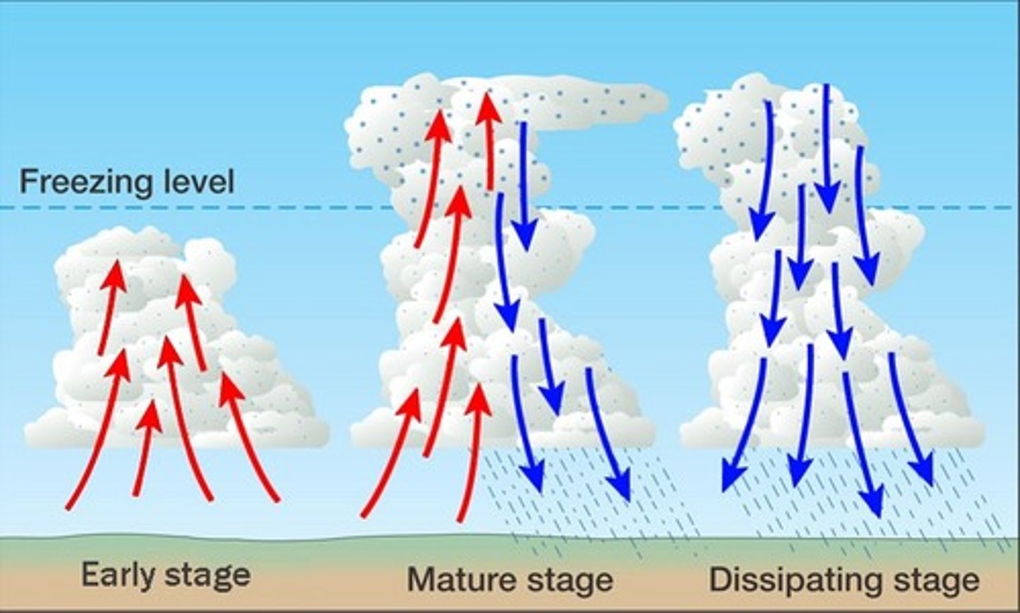 <p>Vertical components of wind.</p>