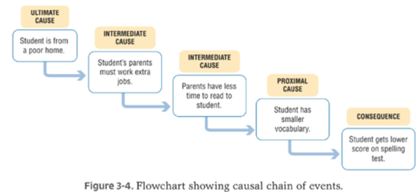 <p>something that explains how <b>one factor</b> can <b>influence another</b></p>