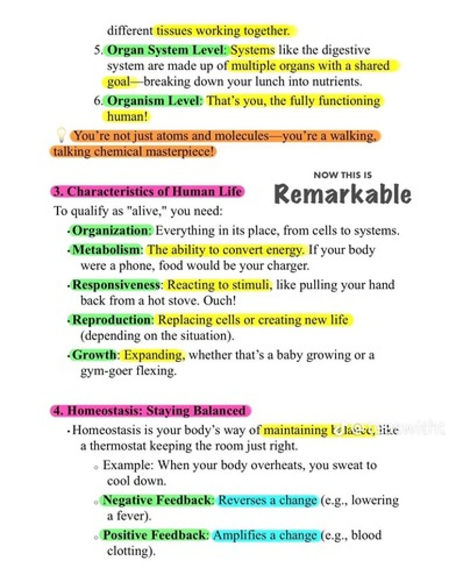 <p>Organization,Metabolism,Responsiveness,Reproduction,</p><p>Growth</p>