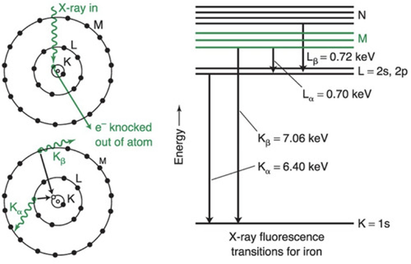 <p>Electron shells were historically labelled K, L, M...</p><p>> K shell = the 1s orbital </p><p>> L shell = the 2s and 2p orbitals </p><p>> M shell = the 3s, 3p and 3d orbitals </p><p>> N shell = the 42, 4p, 4d and 4f orbitals </p><p>In X-ray fluorescence, an incoming x-ray knocks an electron in the K or L shell out of the atom and an electron from a higher shell falls into the vacancy (relaxes from higher energy orbital to lower energy orbital) and emits x-rays in the process </p><p>> L to K (2 to 1) = Kα X-ray </p><p>> M to K (3 to 1) = Kβ X-ray </p><p>> M to L (3 to 2) = Lα X-ray</p><p>> N to L (4 to 2) = Lβ X-ray </p><p>α = relaxation from one shell above </p><p>β = relaxation from 2 shells above </p>