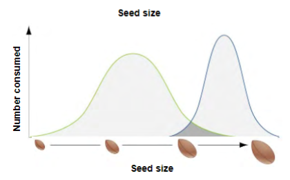 <p>similar species can coexist if they share (partition) the resources such that their niches no longer completely overlap</p><p>i.e. natural selection drives competing species into different patterns of resource use and thus different niches</p><p>allows each spp to use a subset of the resource</p><p>partitioning can happen by specialization on a:</p><p>physical attribute (particular size, color, etc.), spatial attribute (choose resources occurring in a specific location), temporal attribute (use resources only during a specific time)</p>