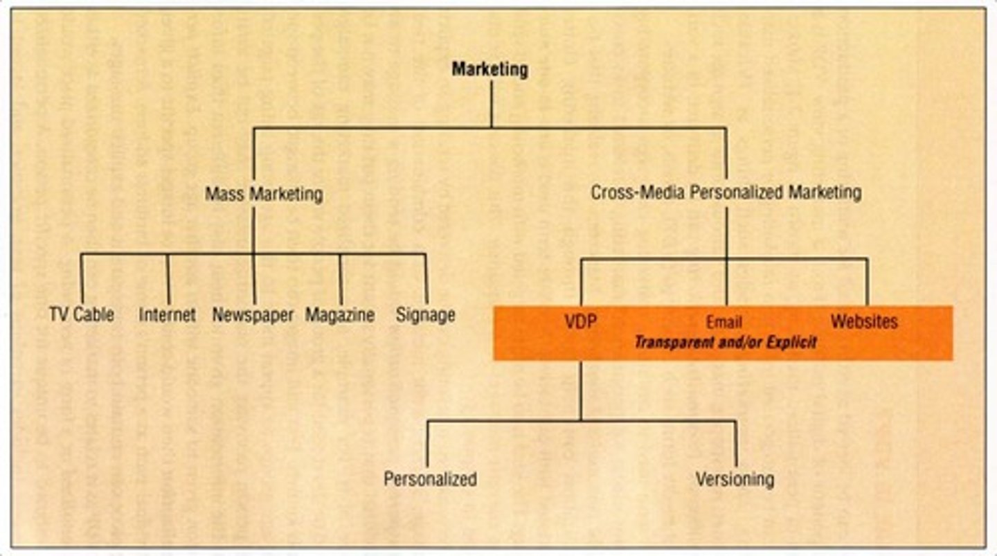 <p>VDP enables true one-to-one marketing at scale, creating highly targeted messages that resonate with individual customers.</p>