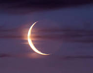<p>waning crescent</p>