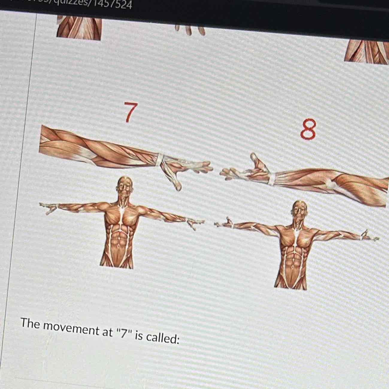 <p>The movement at 7 is</p>