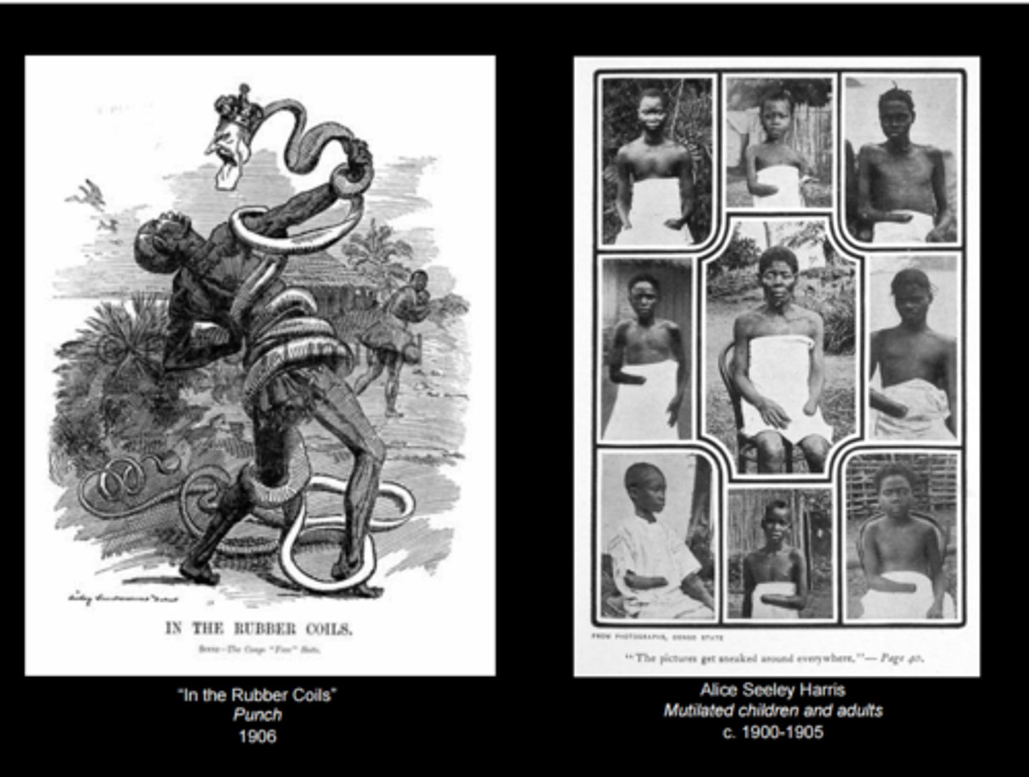 <p>King of Belgium who became the brutal and oppressive ruler over the Congo Free State. Owned the colony personally and had a ruthless system of economic exploitation over the Congolese for harvesting rubber (starting in 1885)</p>
