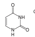 <p>[Identify the Pyrimidine  Base Structure]</p>
