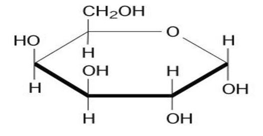 <p><span>The name of this sugar is...</span></p>