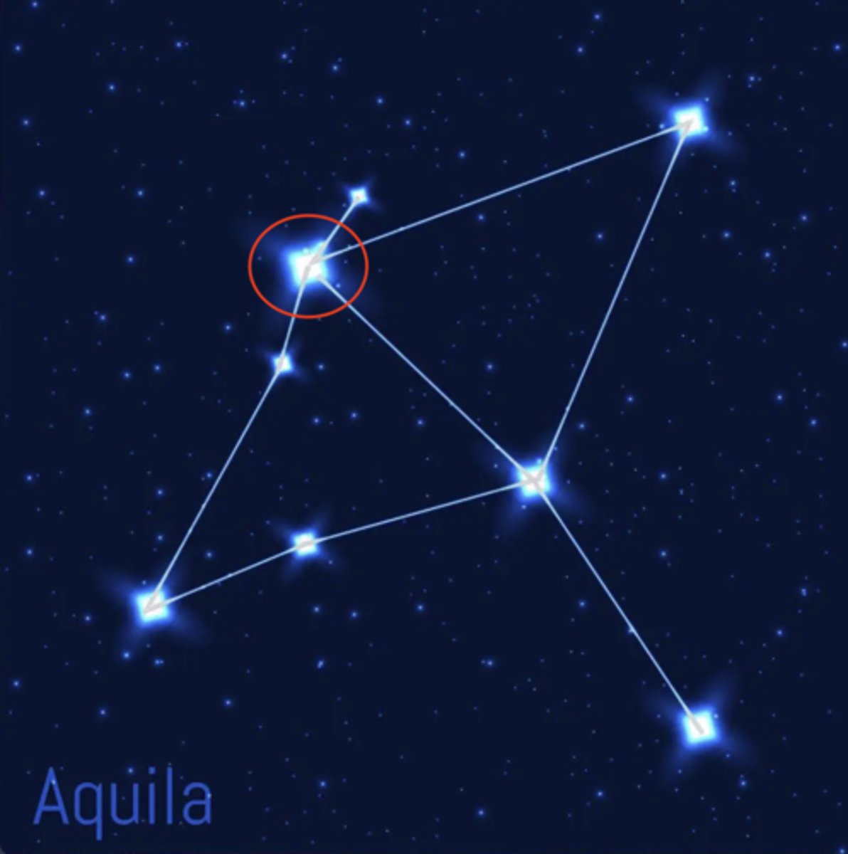 <p>What is Aquila's star i need to know</p>