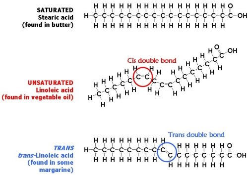 <p>saturated fatty acids pack more tightly | trans fats pack more tightly than cis</p>