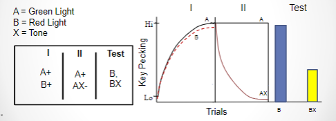 <p>if X is a conditioned inhibitor, does its inhibitory power transfer to another conditioned excitor?</p><p>-yes, x has ability to inhibit B</p>