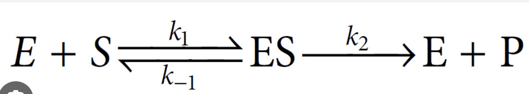 <p>V = (Vmax [S])/Km+[S]</p>