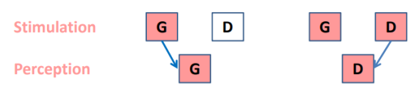 sont des « extinctions » sensitives, sensorielles. Lors de la stimulation bilatérale le stimulus à gauche n’est plus perçu, alors qu’il l’est lors d’une stimulation unilatérale à gauche. Il y a une concurrence entre les deux.
Il s’agit d’un phénomène POST perceptif (sensitif et sensoriel), et PRE moteur différent de : l’hémianopsie, hémianesthésie, hémiparésie.
Ce n’est pas une question de na pas voir, entendre ou se mouvoir mais bien une de ne pas regarder, détecter, écouter, explorer et… y penser !
➢ Phénomène MENTAL, post-perceptif (sensitif et sensoriel) et pré-moteur.
Ce n’est pas un déficit isolé de : l’éveil, l’orientation, la représentation, l’intention. C’est un déficit qui intéresse TOUS les aspects en interaction dans le cadre de l’orientation spatiale de l’attention.