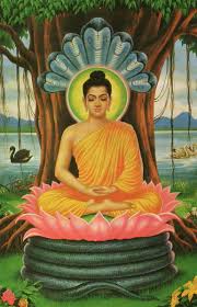 <p>Buddha</p>