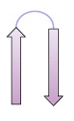 <p>two adjacent antiparallel β strands connected by β turn</p>
