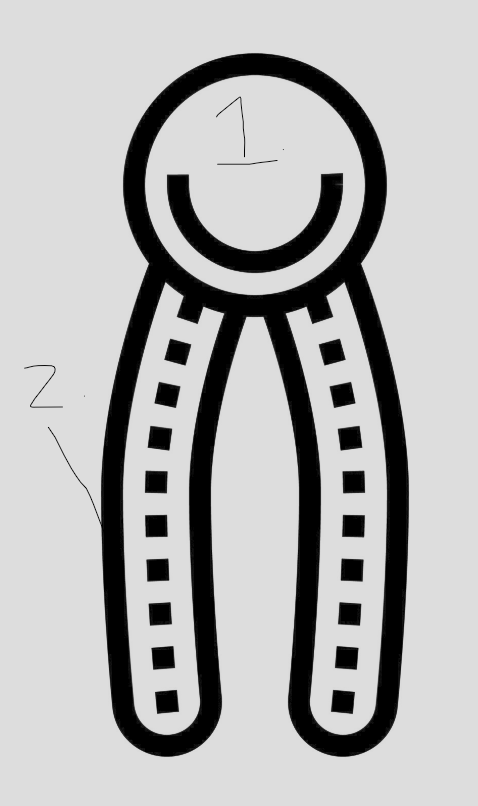 <p>identify the two main parts of this lipid</p>