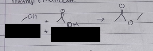 <p>what does this show in esterification </p>