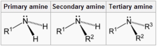 <p>nitrogen with a lone pair, covalently bonded to 2 hydrogen atoms and one alkyl group</p>