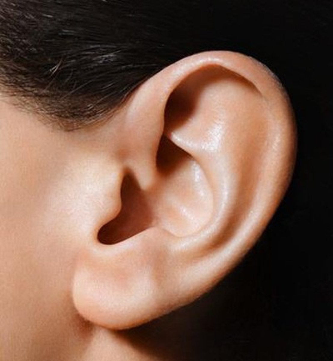 <p>(outer) ear</p>