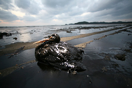 an oil spill