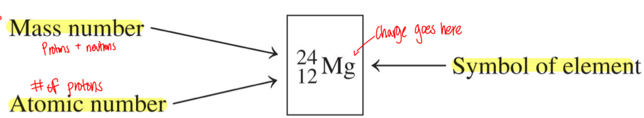 <p>-Atoms of the same element</p><p>-Have different mass numbers</p><p>-Same number of protons, but different numbers of neutrons</p><p>-Can be distinguished by their atomic symbols</p><p>-Ex. magnesium-24</p>