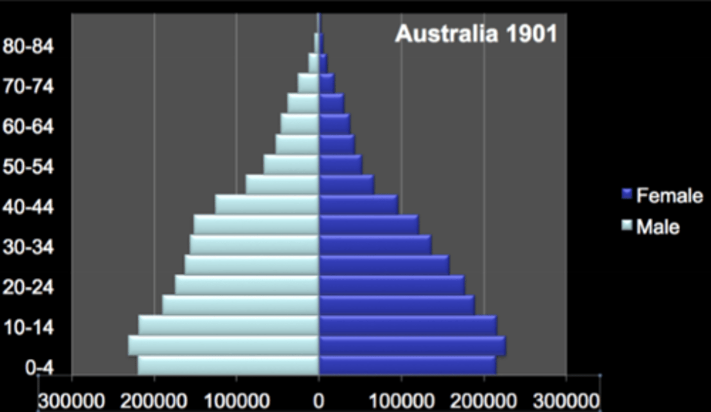<p>Large number of young people, with population decreasing as age increases.</p>