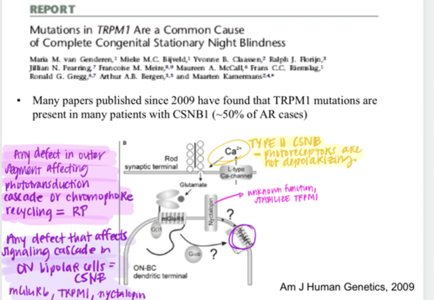 <p>Why is a mutation in the VGCC channel in the photoreceptors a problem in Type II Congenital Stationary Night Blindness?</p>