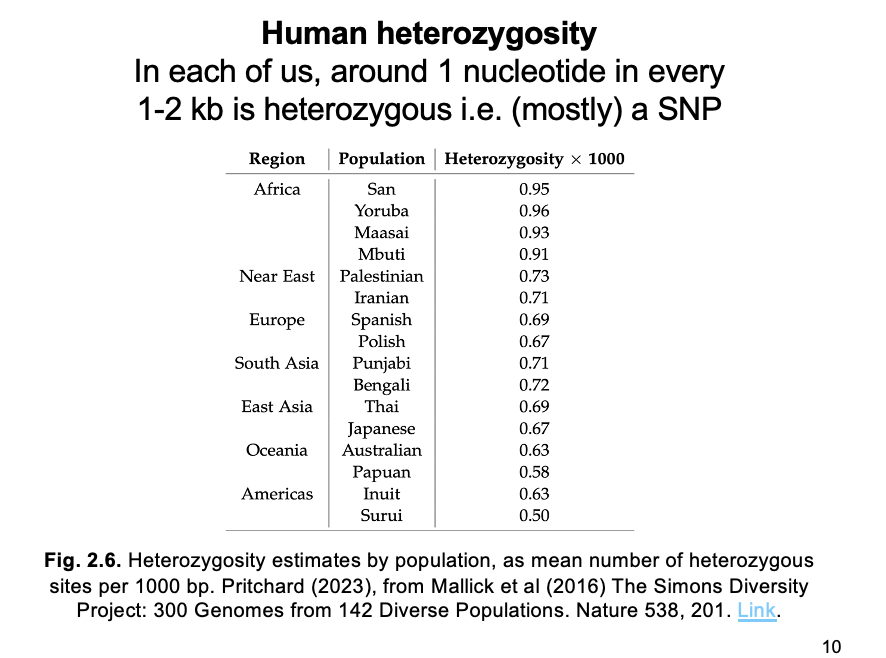 <ul><li><p>can make<strong> extensive</strong>&nbsp;SNP catalogs</p></li></ul><p>but</p><ul><li><p>may still miss SNPs from ethnic groups not sequenced</p><ul><li><p>e.g African populations stil undersmapled!</p></li></ul></li></ul><p></p><p>e.g: 150000 human genomes from diverse UK populations reveal:</p><ul><li><p>600M SNPs</p><ul><li><p>(1 nucleotide in 5 in the genome)</p></li></ul></li></ul><p></p>