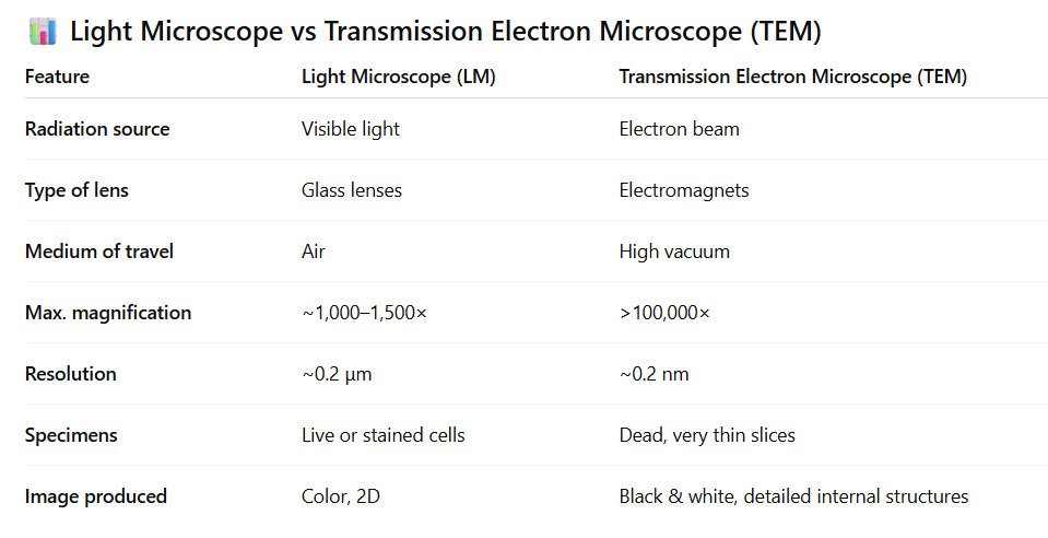 <ul><li><p><strong>Light microscope:</strong> uses visible light, glass lenses, ~1000–1500× mag, 0.2 μm resolution, live or stained cells.</p></li><li><p><strong>TEM:</strong> uses electron beam, electromagnets, &gt;100,000× mag, 0.2 nm resolution, very thin slices, specimens dead/fixed.</p></li></ul><p></p>