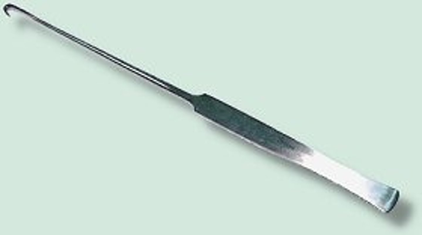 <p>used to locate the uterine horns during a ovariohysterectomy (spay)</p>