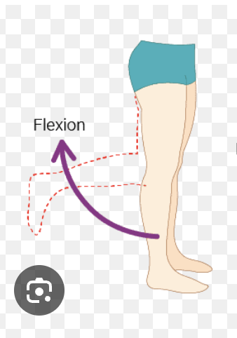 <p><strong>Impairment:</strong></p><ul><li><p><span style="color: blue;">Impaired motor control of hip/knee flexors,</span></p></li><li><p><span style="color: blue;">Inadequate ankle DFs</span></p></li><li><p><span style="color: blue;">Short stance limb</span></p></li></ul><p><br><strong>Deviation/Compensation:</strong> <span style="color: red;">Excessive knee flexion during MSw</span></p><p></p>
