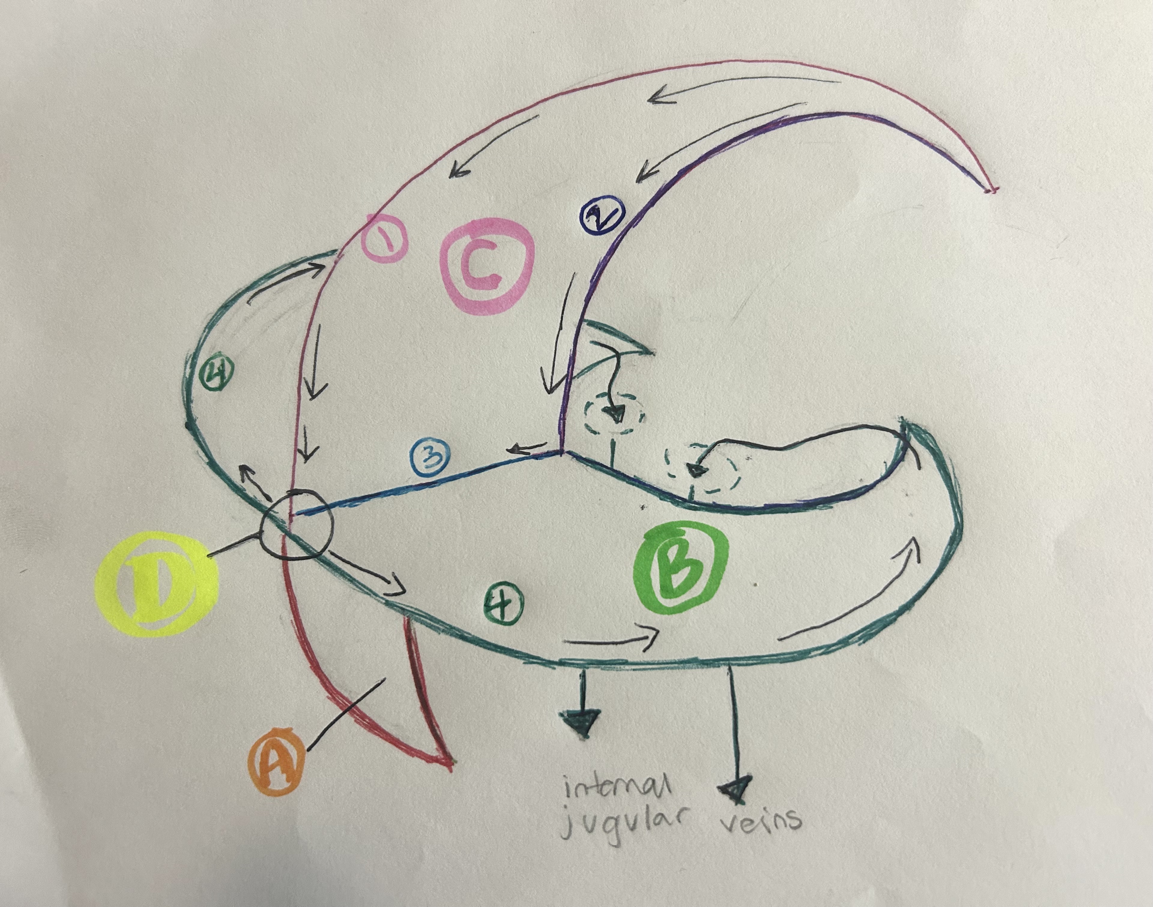 <p>What is the name of structure D?</p>