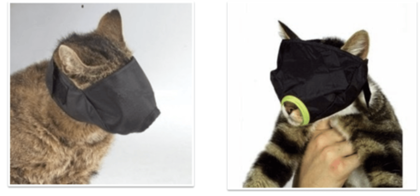 <p>what is this for?</p>