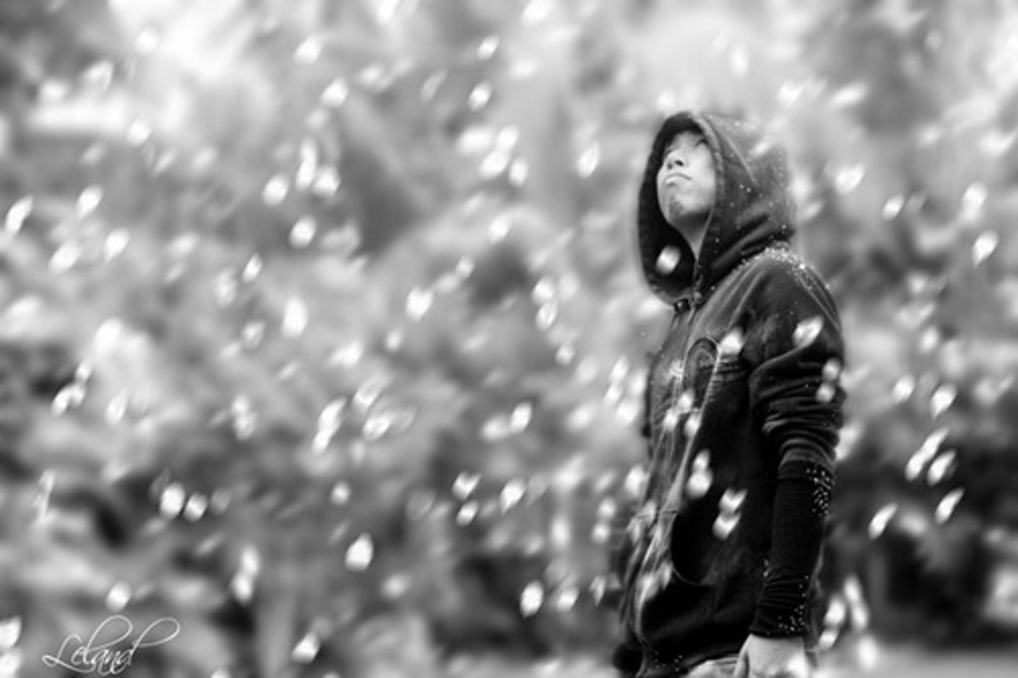 <p>to snow</p>